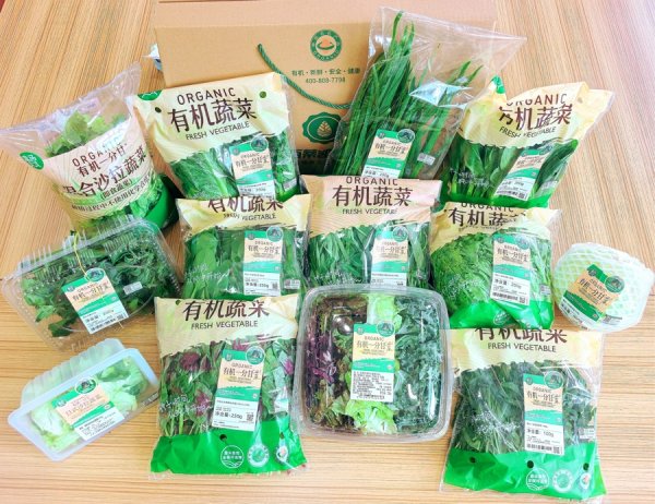 一份有机菜盒马村里的“出生证明”：一包沙拉五种菜，种种可溯源
