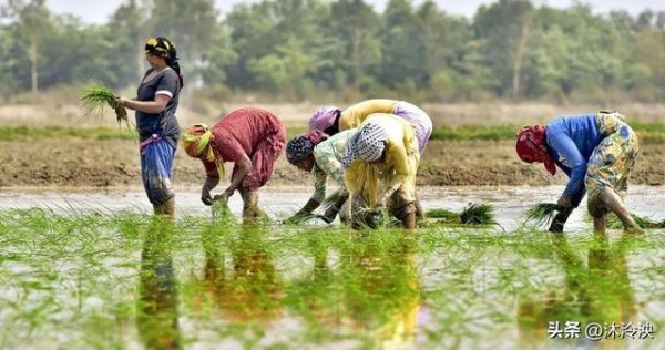被逼到墙角？莫迪下达最后通牒：不做这件事，14亿民众将陷入危机