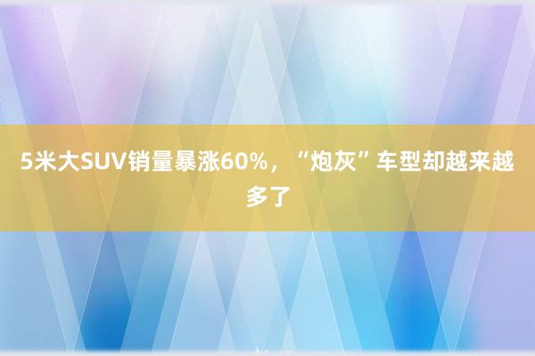 5米大SUV销量暴涨60%，“炮灰”车型却越来越多了