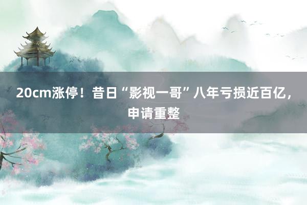 20cm涨停！昔日“影视一哥”八年亏损近百亿，申请重整