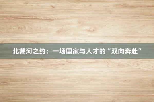 北戴河之约：一场国家与人才的“双向奔赴”