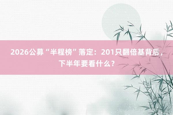 2026公募“半程榜”落定：201只翻倍基背后，下半年要看什么？