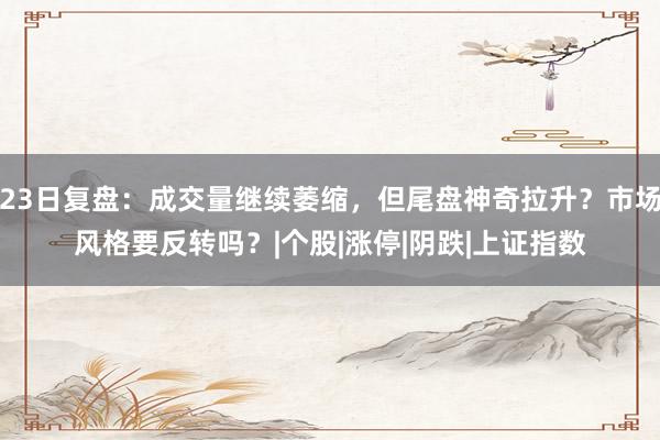 23日复盘：成交量继续萎缩，但尾盘神奇拉升？市场风格要反转吗？|个股|涨停|阴跌|上证指数
