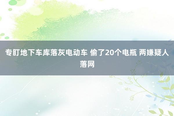专盯地下车库落灰电动车 偷了20个电瓶 两嫌疑人落网