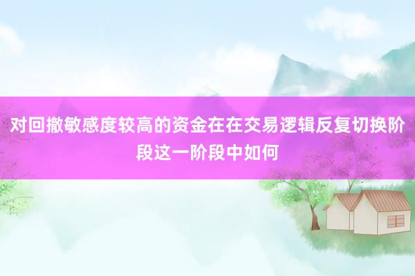 对回撤敏感度较高的资金在在交易逻辑反复切换阶段这一阶段中如何