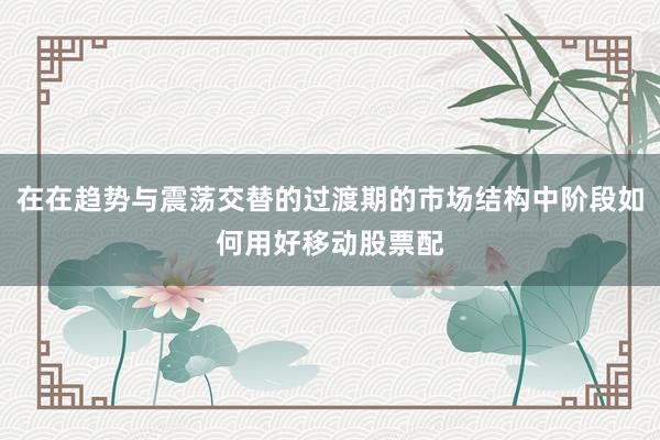 在在趋势与震荡交替的过渡期的市场结构中阶段如何用好移动股票配