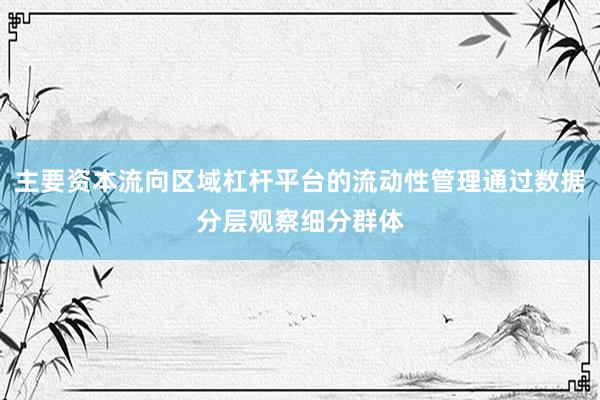 主要资本流向区域杠杆平台的流动性管理通过数据分层观察细分群体