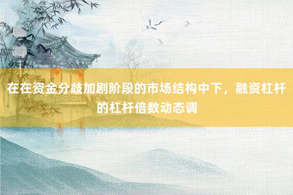 在在资金分歧加剧阶段的市场结构中下，融资杠杆的杠杆倍数动态调