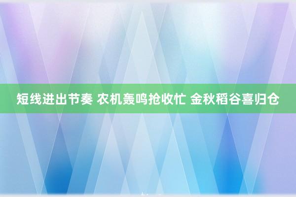 短线进出节奏 农机轰鸣抢收忙 金秋稻谷喜归仓