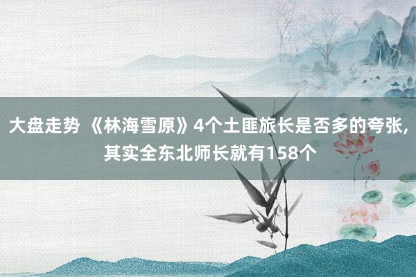 大盘走势 《林海雪原》4个土匪旅长是否多的夸张, 其实全东北师长就有158个