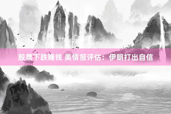 股票下跌赚钱 美情报评估：伊朗打出自信