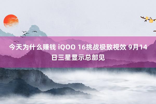 今天为什么赚钱 iQOO 16挑战极致视效 9月14日三星显示总部见