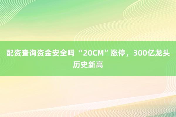 配资查询资金安全吗 “20CM”涨停,300亿龙头历史新高