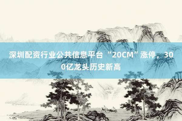 深圳配资行业公共信息平台 “20CM”涨停，300亿龙头历史新高