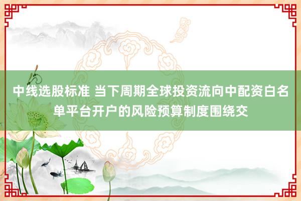 中线选股标准 当下周期全球投资流向中配资白名单平台开户的风险预算制度围绕交