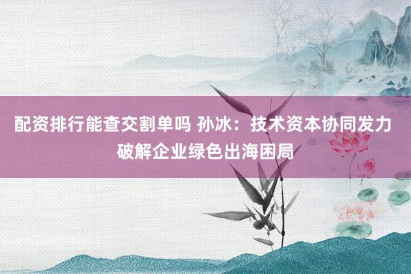 配资排行能查交割单吗 孙冰：技术资本协同发力 破解企业绿色出海困局