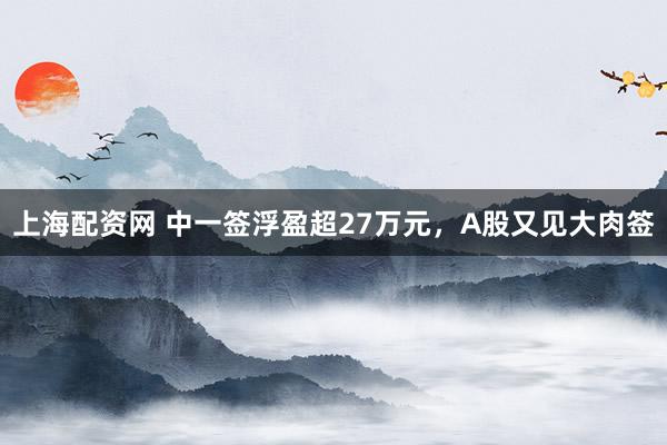 上海配资网 中一签浮盈超27万元，A股又见大肉签