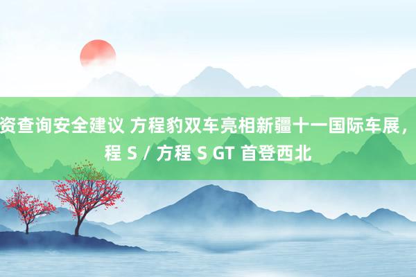 配资查询安全建议 方程豹双车亮相新疆十一国际车展，方程 S / 方程 S GT 首登西北